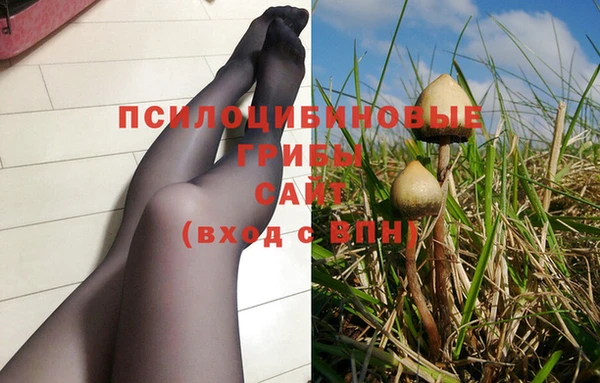 первитин Гусь-Хрустальный