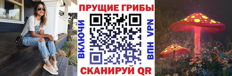 Псилоцибиновые грибы GOLDEN TEACHER  Купить закладки  Зима 