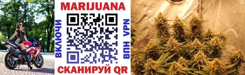 Купить где  Зима  Каннабис Amnesia 